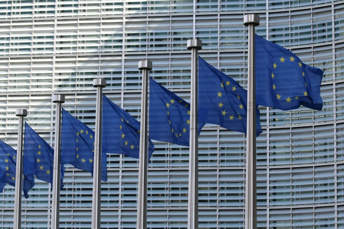 les-europeennes-2024-une-cible-considerable-de-manipulations-etrangeres-en-france