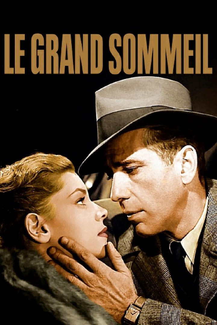 le-grand-sommeil