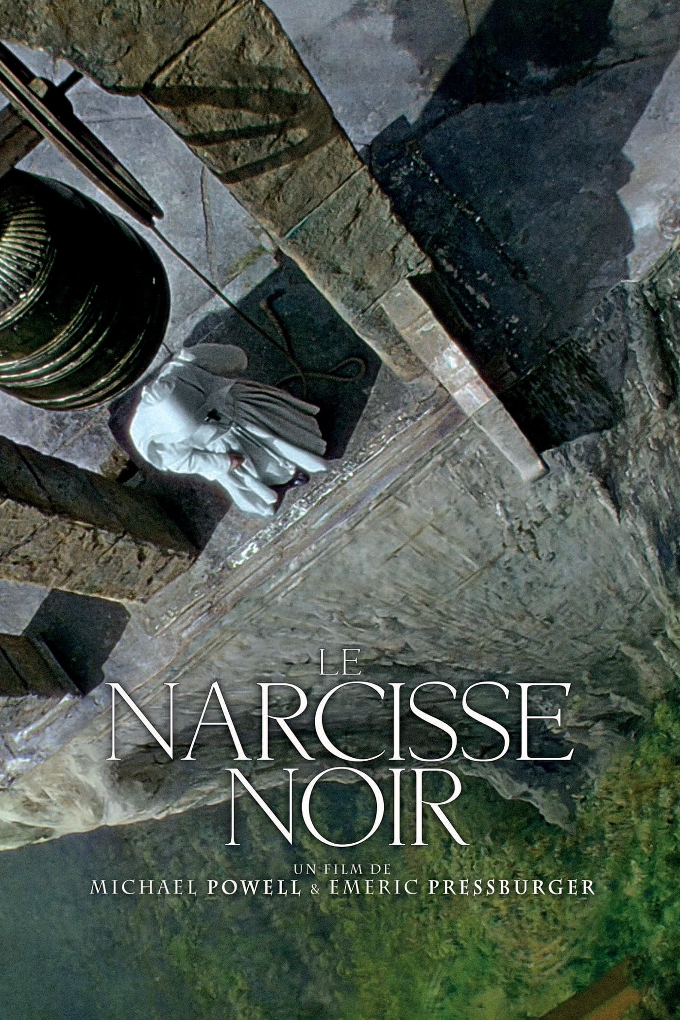 le-narcisse-noir