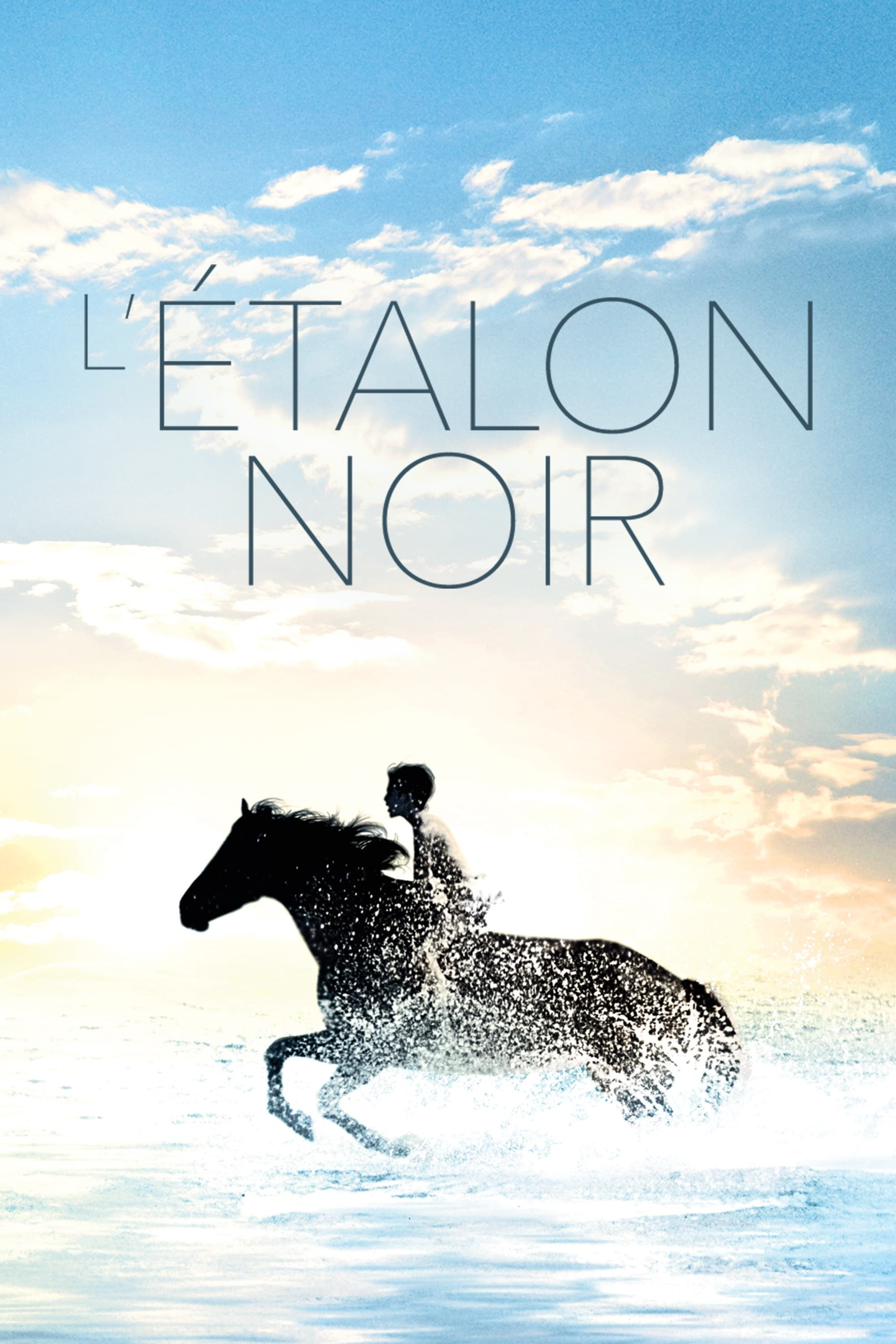the-black-stallion
