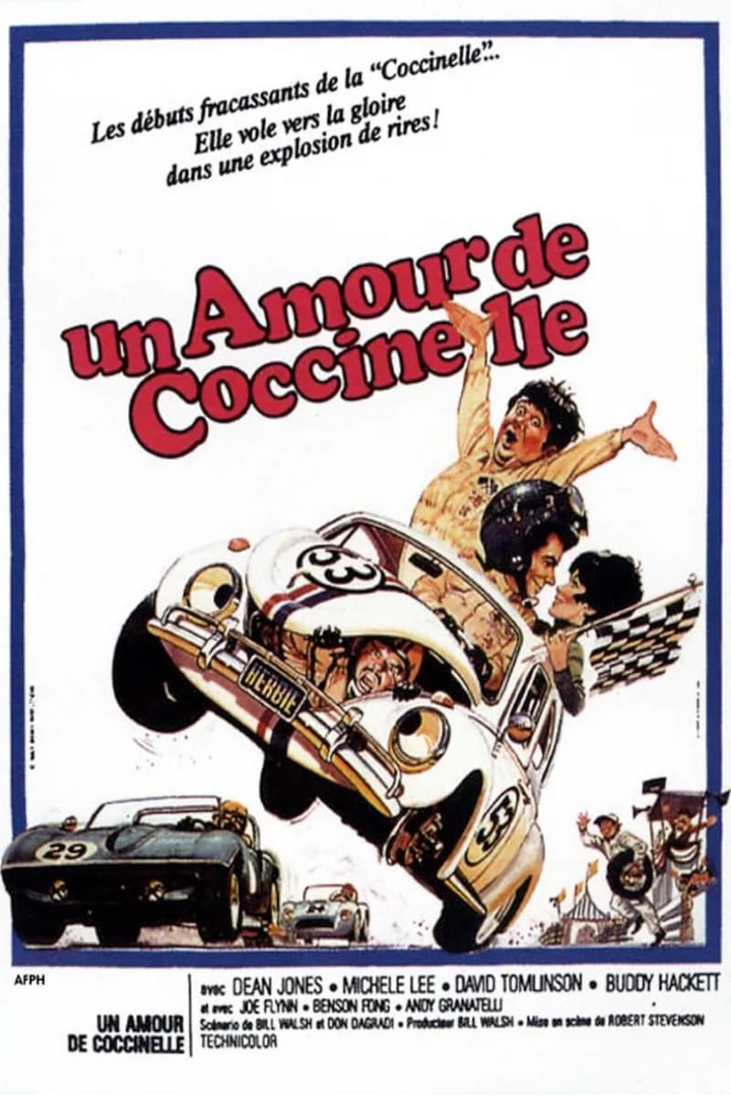 un-amour-de-coccinelle