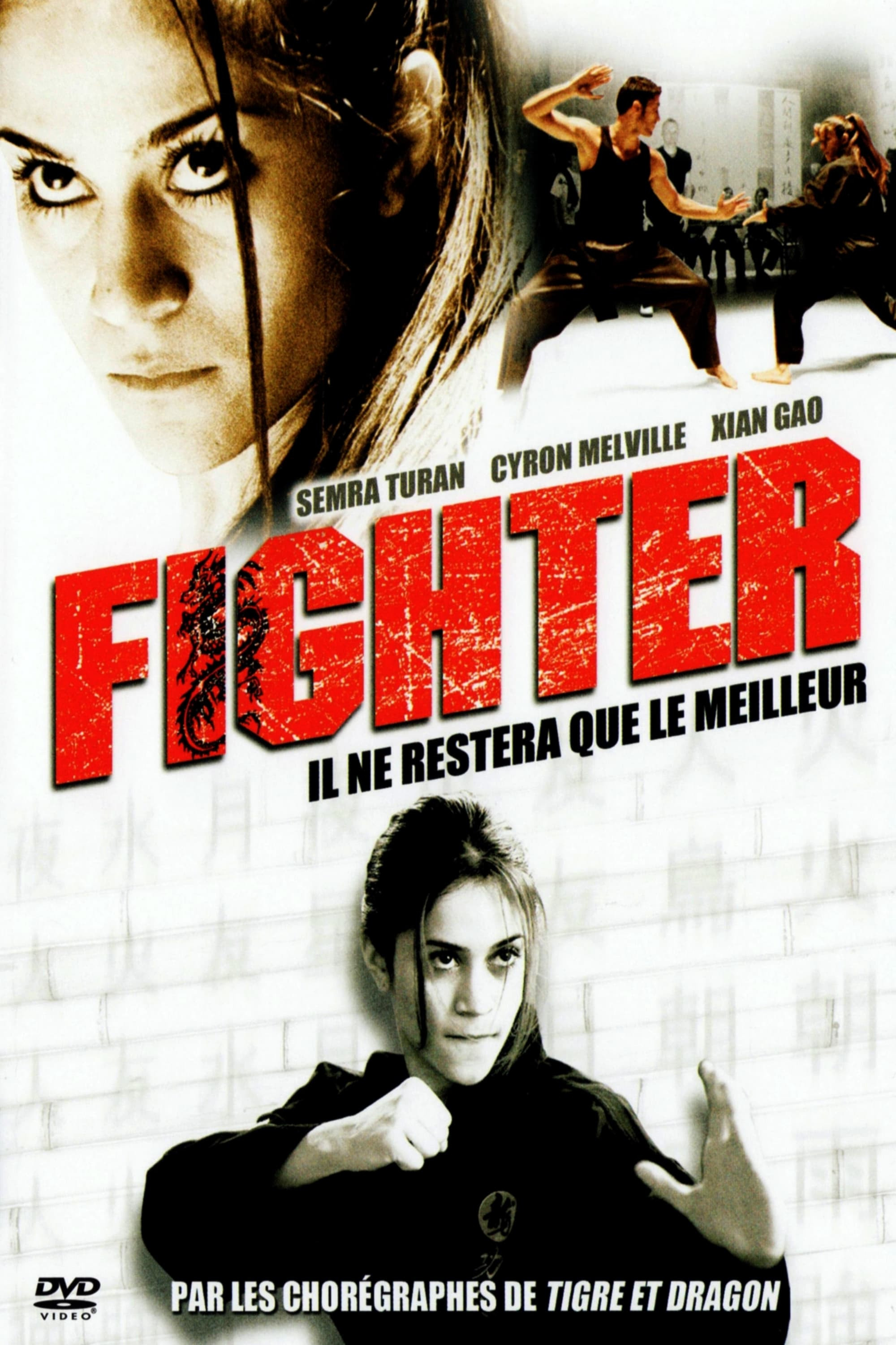 fighter