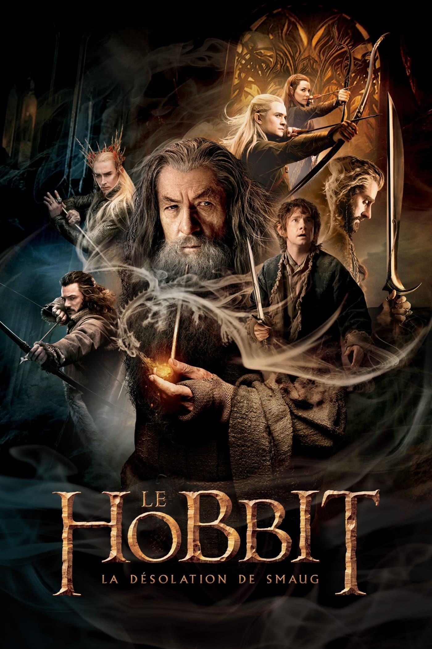 le-hobbit-la-desolation-de-smaug