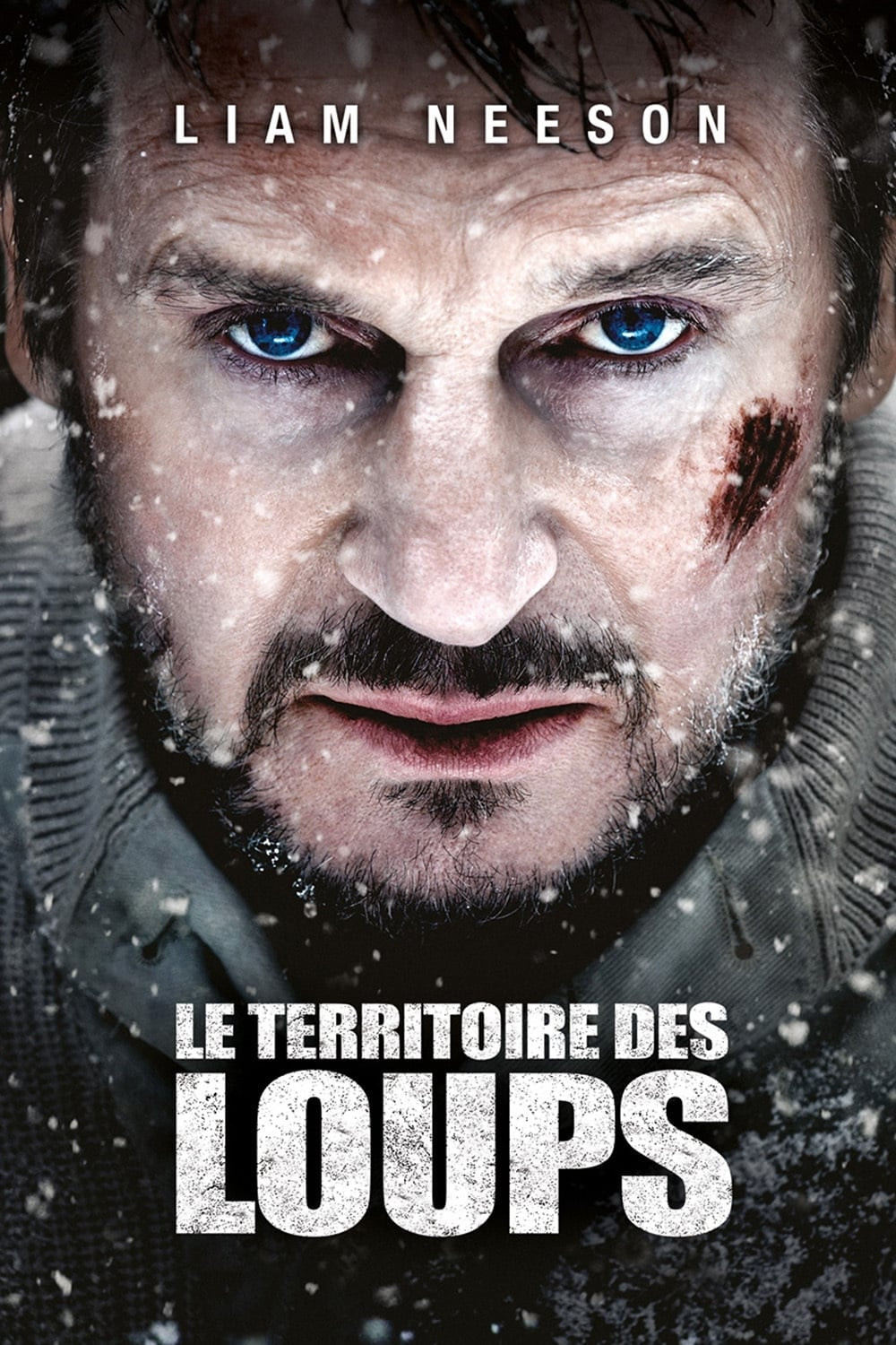 le-territoire-des-loups