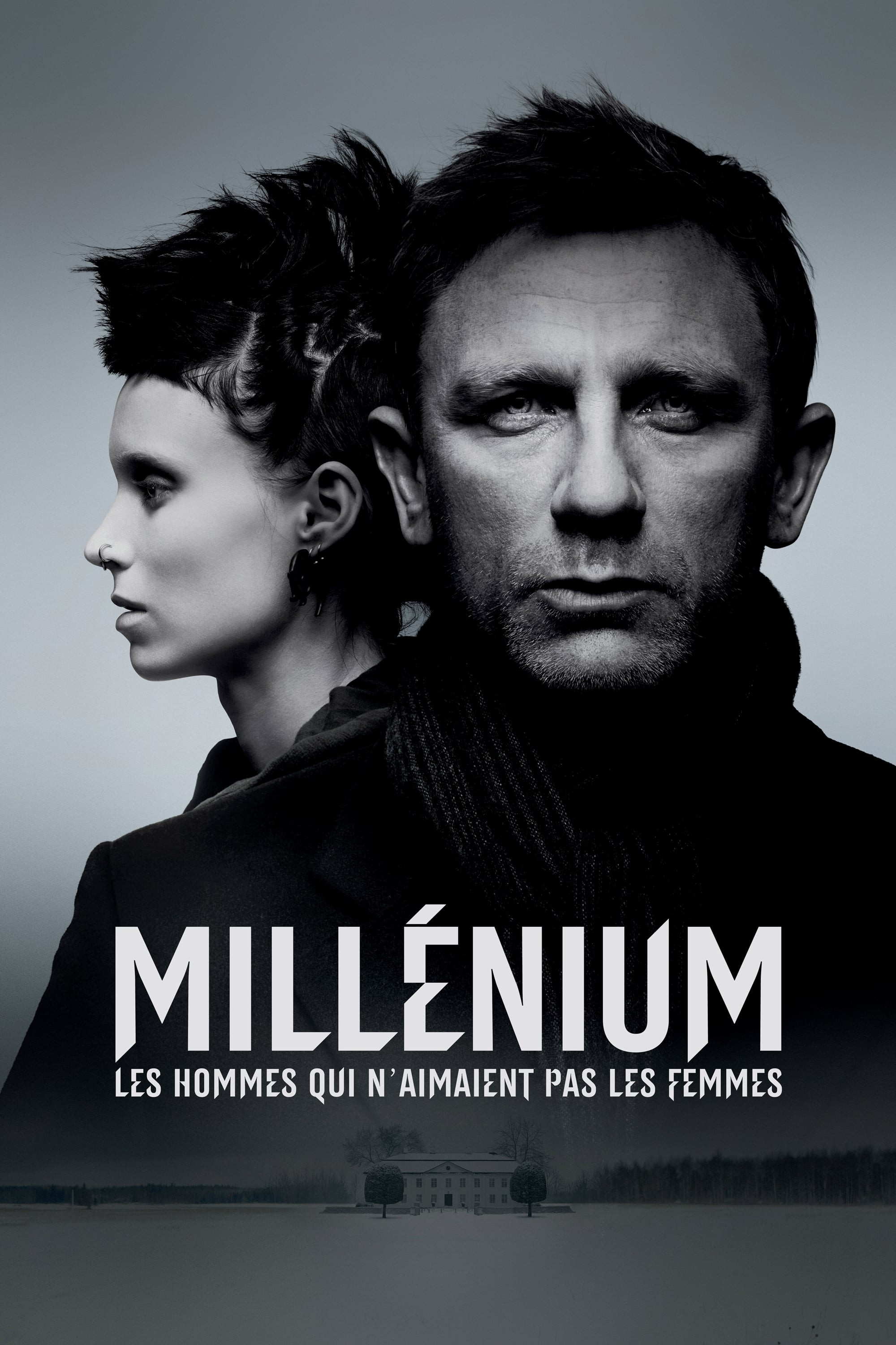 millenium-les-hommes-qui-naimaient-pas-les-femmes