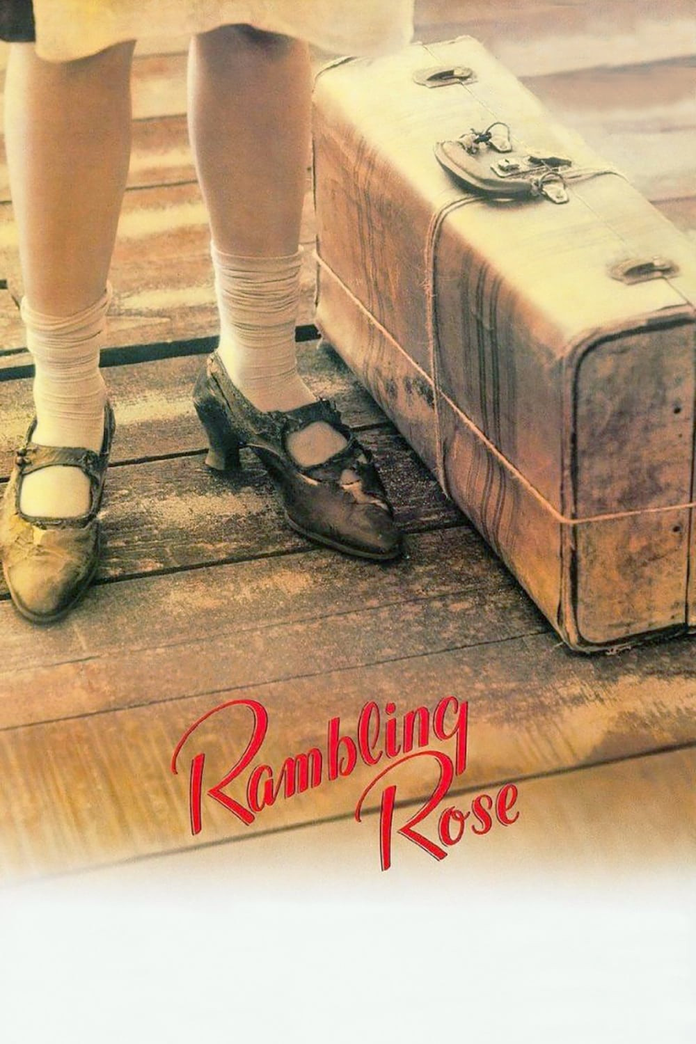 rambling-rose