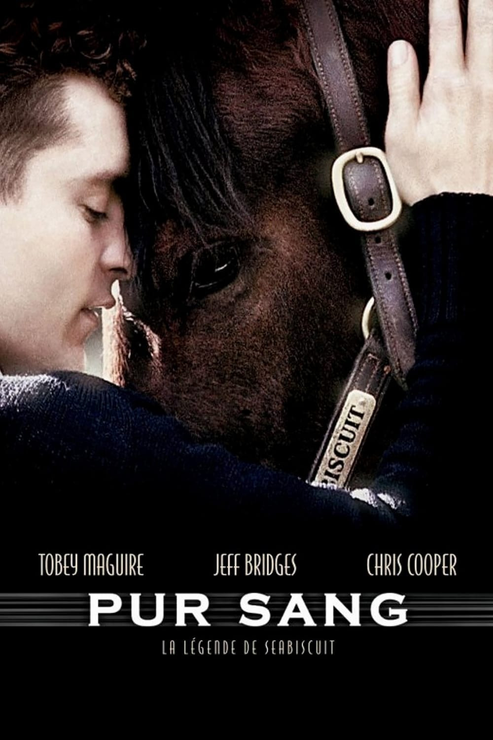 seabiscuit