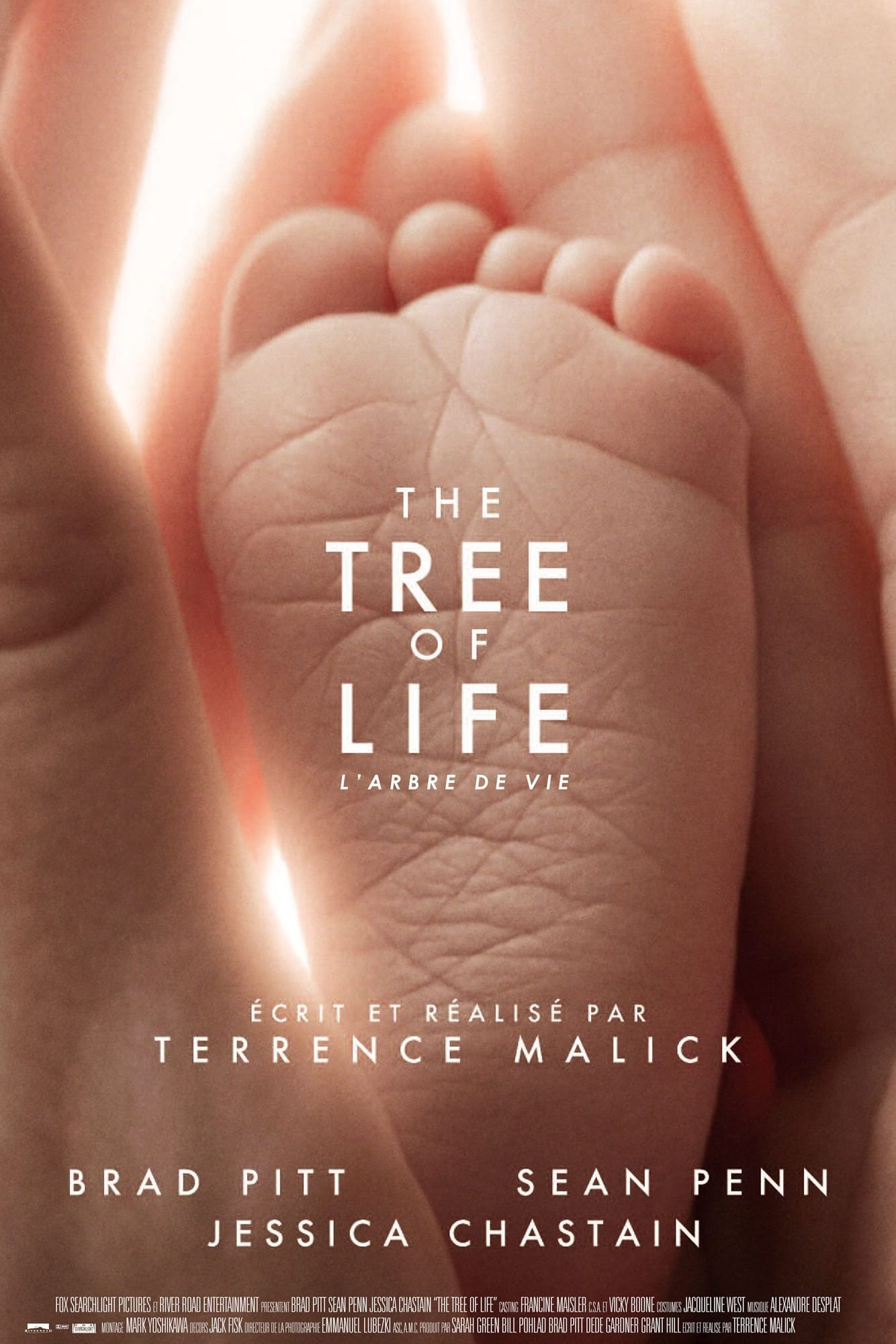 the-tree-of-life