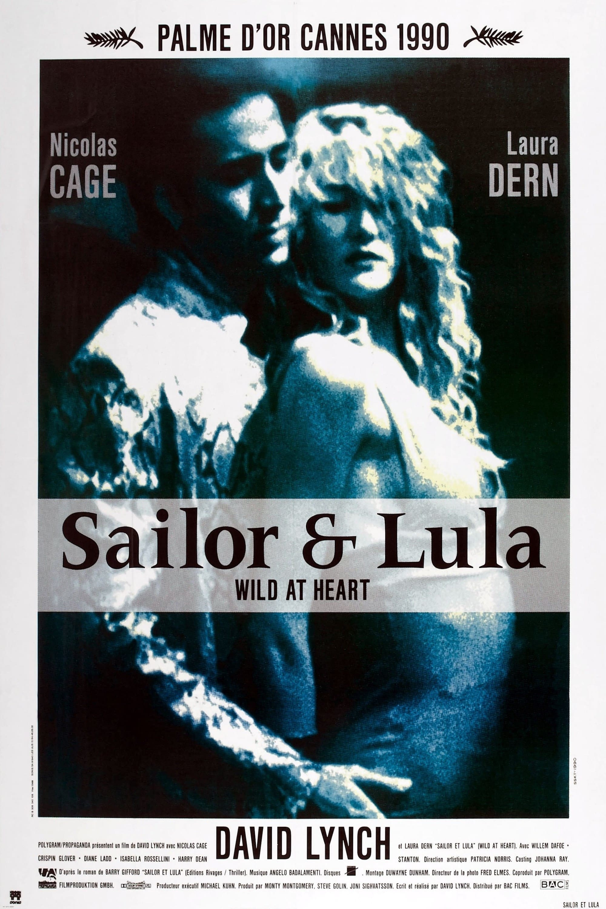 wild-at-heart