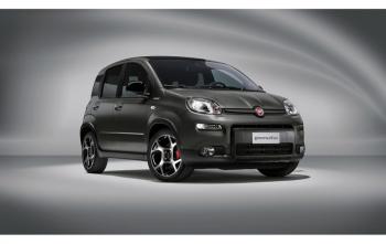  Le Panda de Fiat: Un petit ourson sur roues dominant la jungle urbaine.